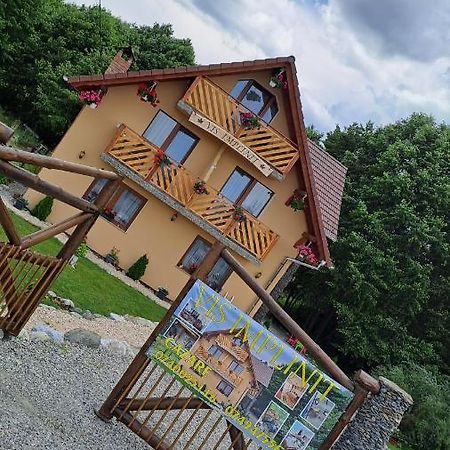 Vis Implinit Cartisoara Exterior foto