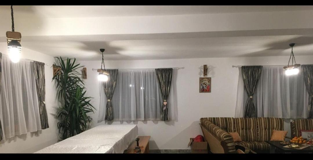 Vis Implinit Cartisoara Exterior foto