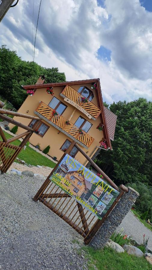 Vis Implinit Cartisoara Exterior foto