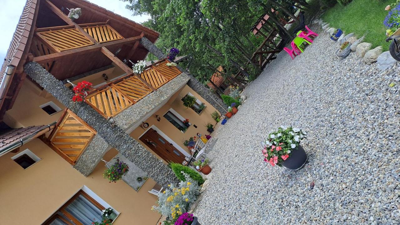 Vis Implinit Cartisoara Exterior foto