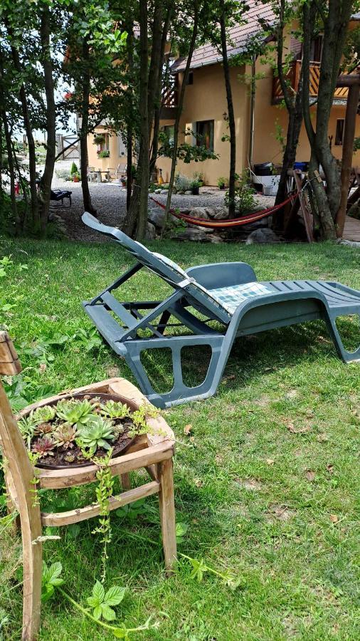 Vis Implinit Cartisoara Exterior foto
