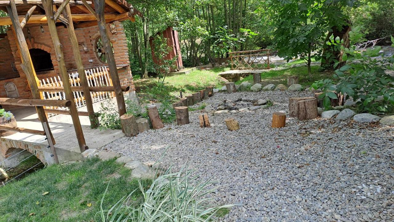 Vis Implinit Cartisoara Exterior foto