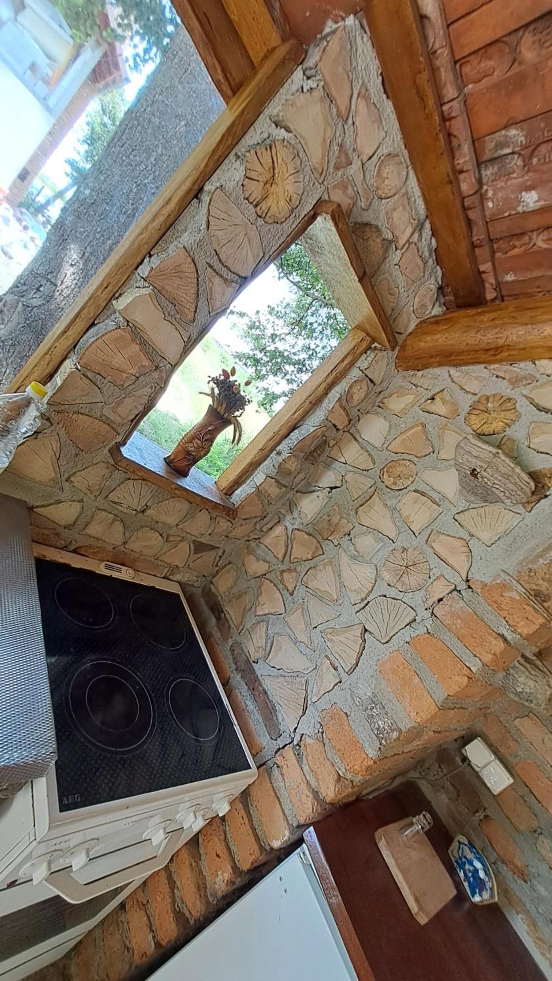 Vis Implinit Cartisoara Exterior foto