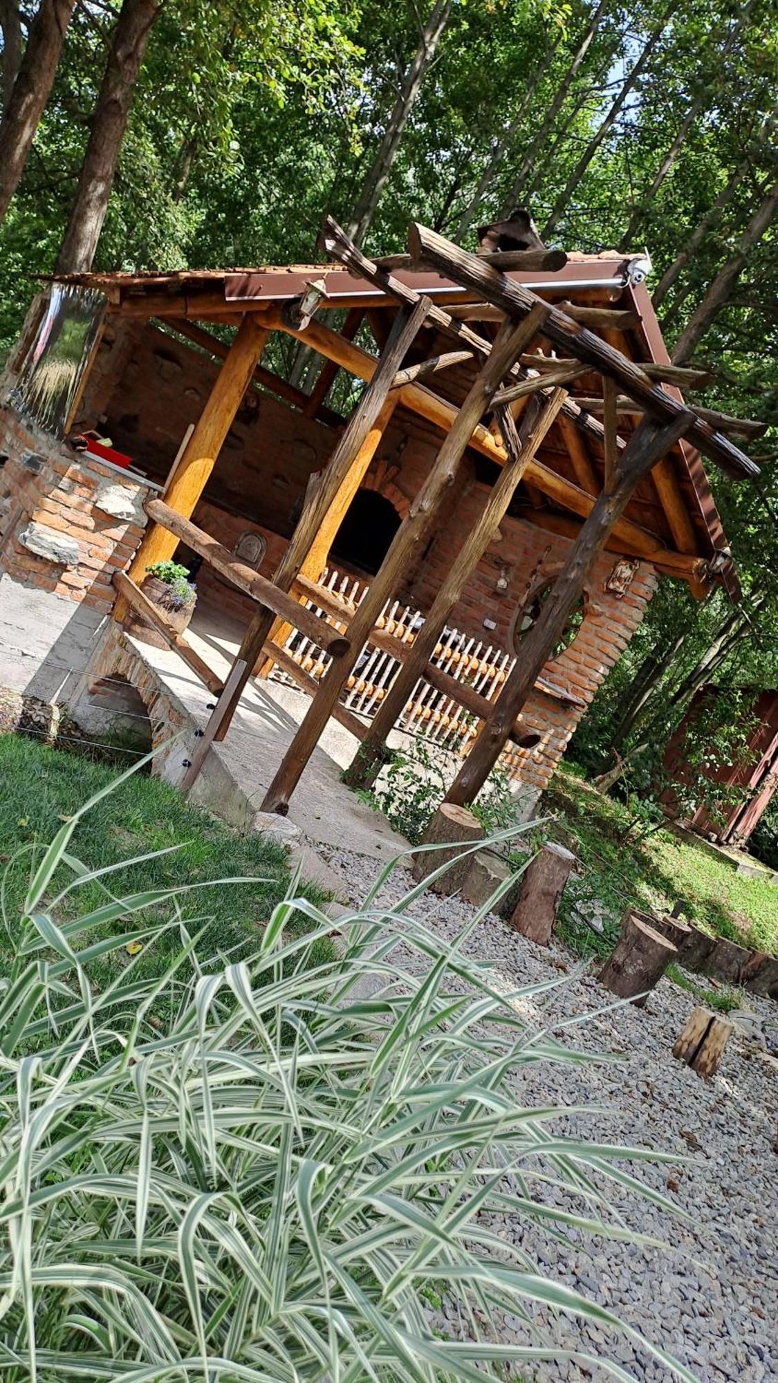 Vis Implinit Cartisoara Exterior foto